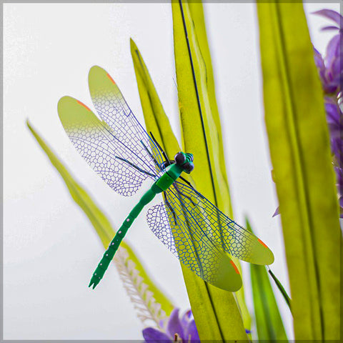 Colorful Dragonfly on Sticks-dragonfly