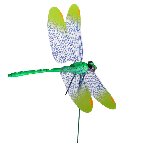 Colorful Dragonfly on Sticks-dragonfly