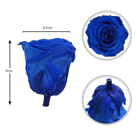 6CM Preserved Rose Flower