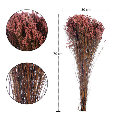 Dried Crystal Grass-Crystalgrass-S