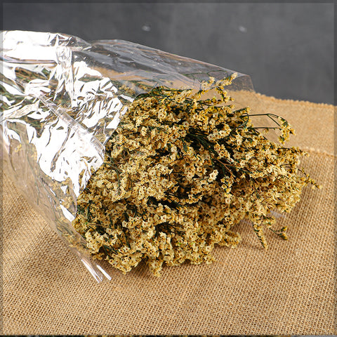 Dried Crystal Grass-Crystalgrass-S