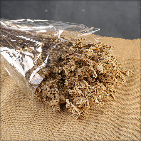 Dried Crystal Grass-Crystalgrass-S