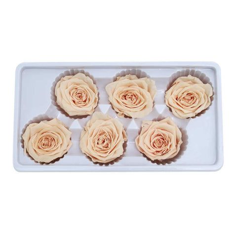 6CM Preserved Rose Flower