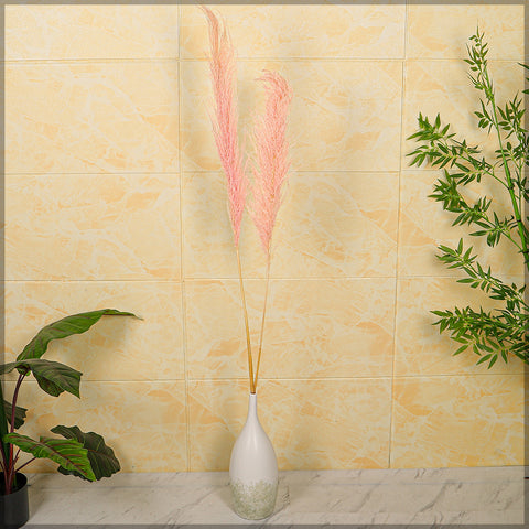 2pcs Natural Dried Pampas Grass