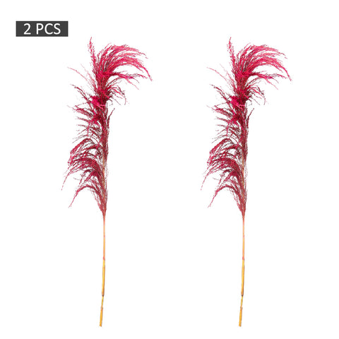 2pcs Natural Dried Pampas Grass