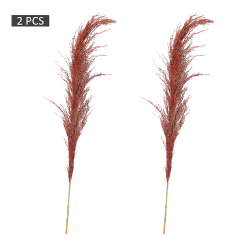 2pcs Natural Dried Pampas Grass