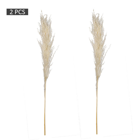 2pcs Natural Dried Pampas Grass