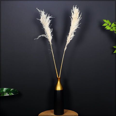 2pcs Natural Dried Pampas Grass