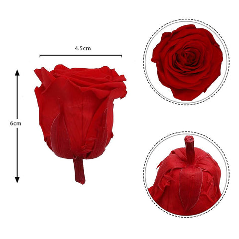 6CM Preserved Rose Flower