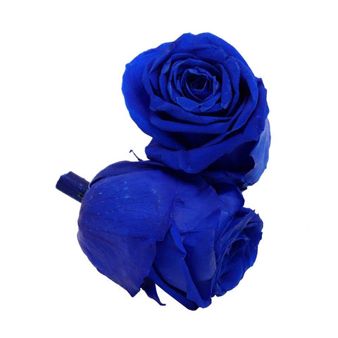 6CM Preserved Rose Flower