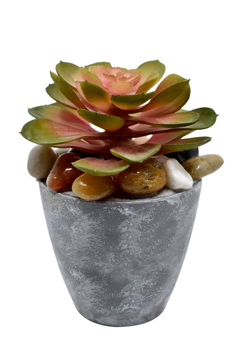 Artificial Pink Succulent Plant Arrangements