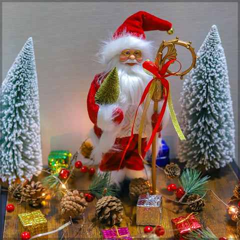 Santa Claus Christmas Decoration