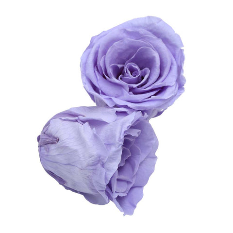 6CM Preserved Rose Flower