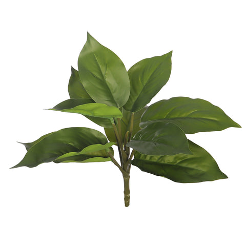 Realistic green evergreen leaves for events