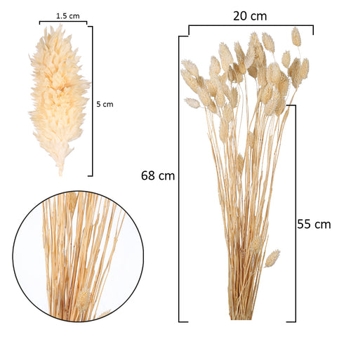 Dried Phalaris Grass