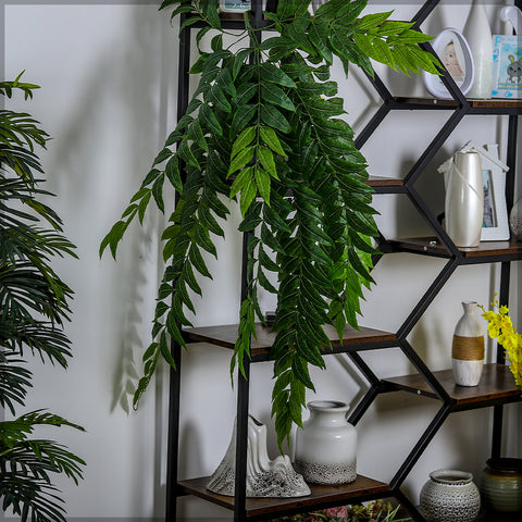 Hanging bunch of leaves for indoor greenery