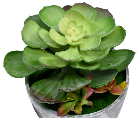 Artificial Succulent Plant Arrangements For Office Home Decor