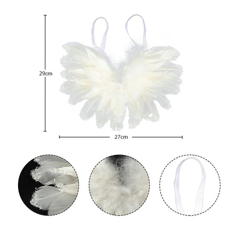 Decorative Fancy Real Wings Feather