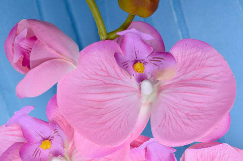 Silk Artificial Orchid Flowers In Wooden Pot