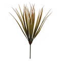 Fake elephant fountain grass bush