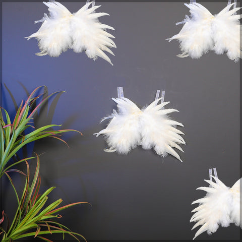 Decorative Fancy Real Feathers