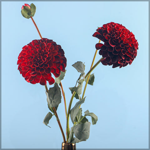 Faux Dahlia Flower Stem