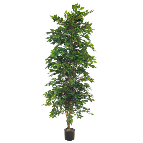 Faux Green Ficus Plant