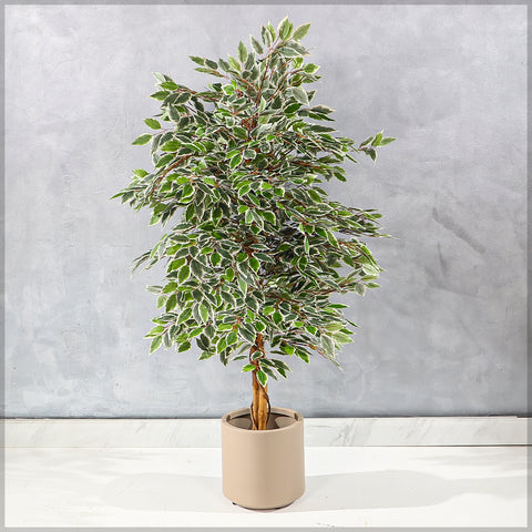 ficus artificial tree for office