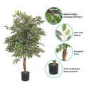 white green artificial ficus tree