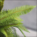 Decorative ferns for outdoor and indoor decor