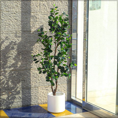 Artificial Ficus Plant 160cm Tall