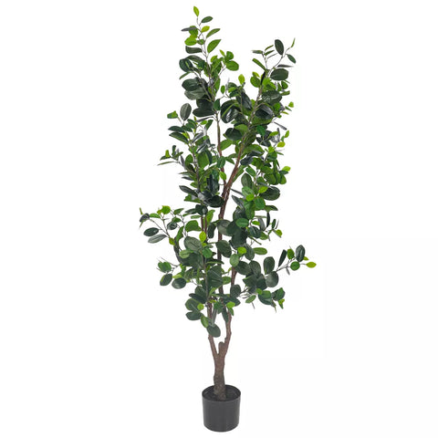 Artificial Ficus Plant 160cm Tall