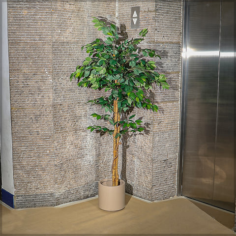 Faux ficus tree for contemporary home interiors