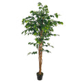 Faux ficus plant 180cm tall for elegant décor