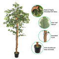 Lifelike artificial ficus plant 180cm tall