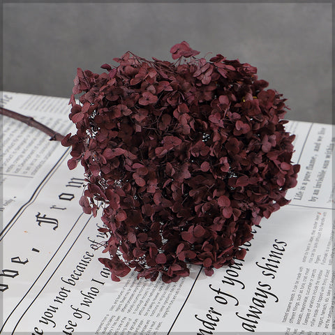 Natural Preserved Dried Hydrangea Flower