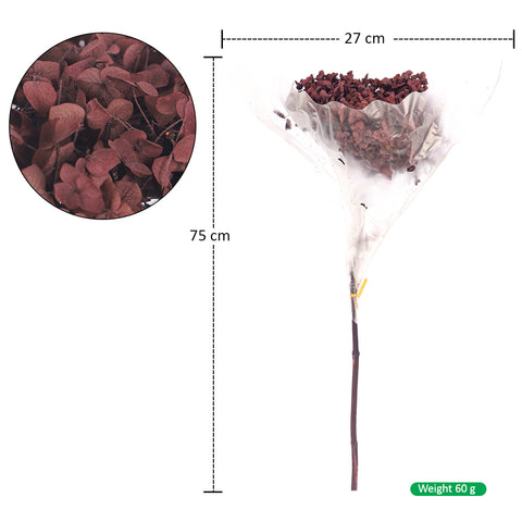 Natural Preserved Dried Hydrangea Flower