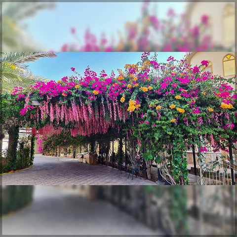 Garden Hanging Flower Arrangement