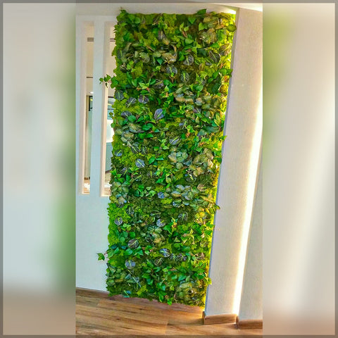 Fresh Moss Wall Decoration