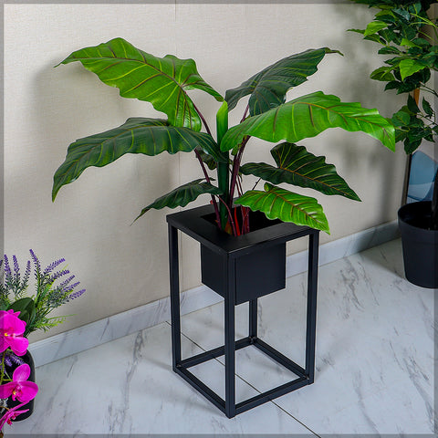 Black square planters outdoor