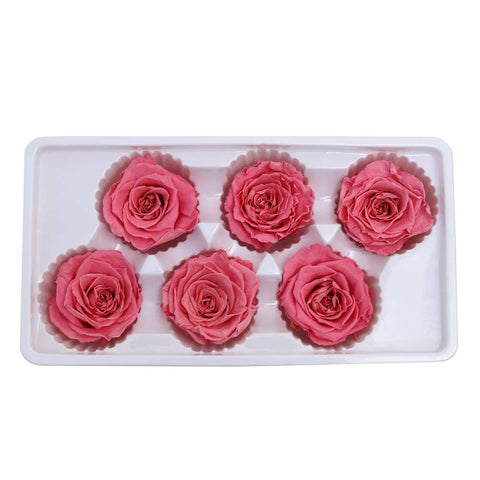 6CM Preserved Rose Flower