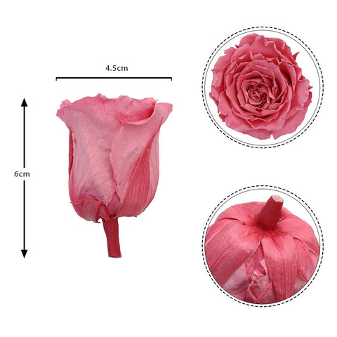 6CM Preserved Rose Flower