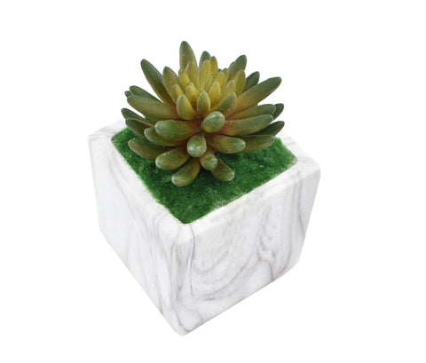 Artificial Succulent Plant With Ceramic Vase