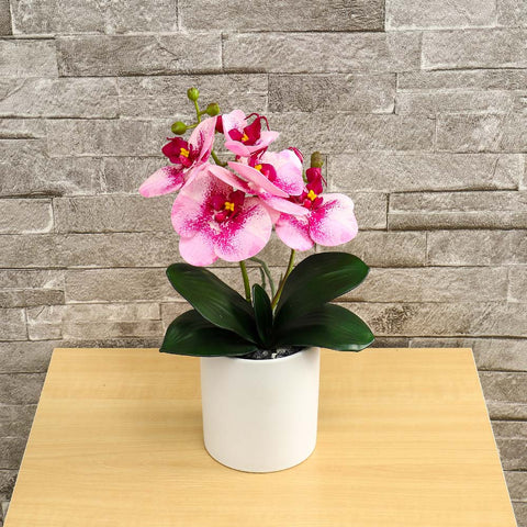 Potted Orchid Flower Arrangement