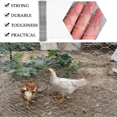 Galvanized Chicken Wire Mesh