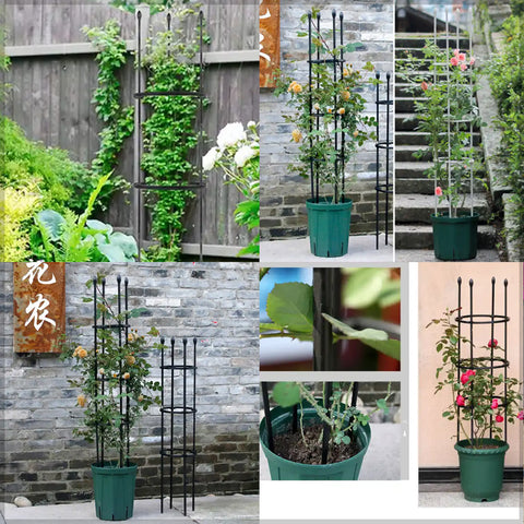 Vertical garden trellis for garden landscaping