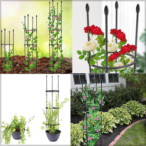 Outdoor plant trellis for climbing roses