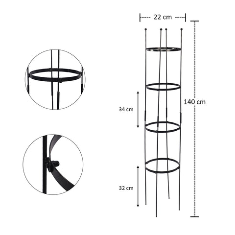 Climbing rose trellis for vertical gardening