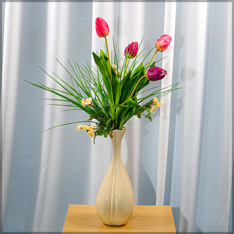 Two Color Mix Tulip Flowers