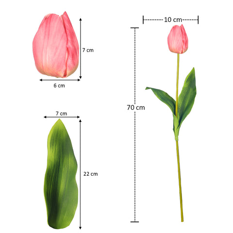 Two Color Mix Tulip Flowers